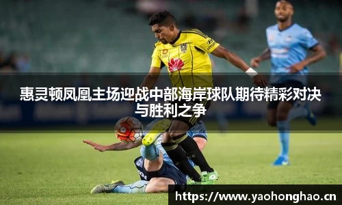 惠灵顿凤凰主场迎战中部海岸球队期待精彩对决与胜利之争