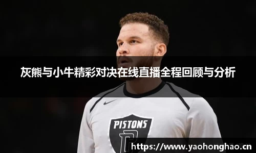 灰熊与小牛精彩对决在线直播全程回顾与分析